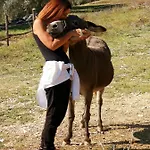 Pietra Antica * ריפטרנסונה