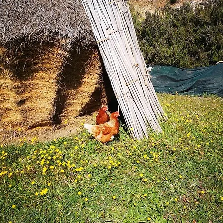 Pietra Antica Séjour à la ferme Ripatransone