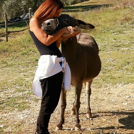 Pietra Antica * Ripatransone