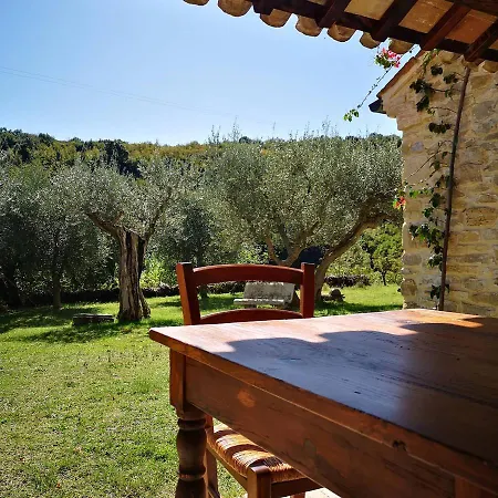 Pietra Antica 리파트란소네