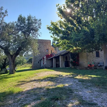 Pietra Antica * 리파트란소네